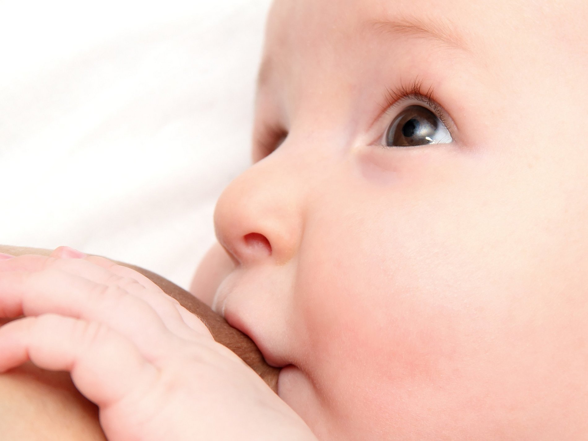 Mother, milk, breast, breastfeeding, food, child, face, family, human, healthy, care, baby, infant, newborn, born, little, small, childhood, people, love, eating, drink, parent, suck, sucking, feeding, months, woman, give, female, nutrition, motherhood, bosom, look, mama, nourish, natural, chest, boy, girl, white, closeup, kid, person, parenting, nipple, beautiful, holding, son